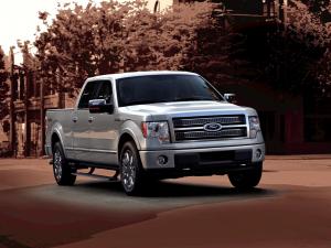 Ford F-150 Platinum 2008 года